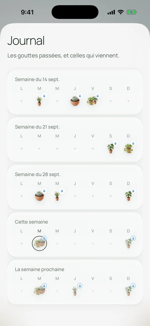 Le journal : cinq semaines, avec les plantes arrosées chaque jour